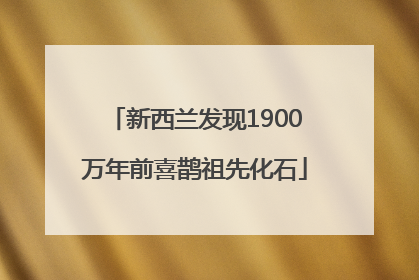 新西兰发现1900万年前喜鹊祖先化石