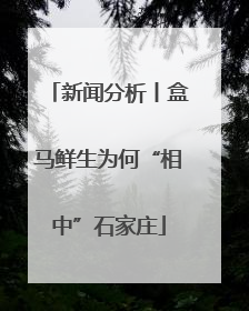 新闻分析丨盒马鲜生为何“相中”石家庄