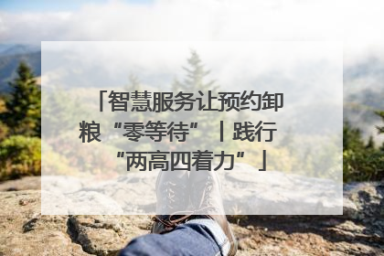 智慧服务让预约卸粮“零等待”丨践行“两高四着力”