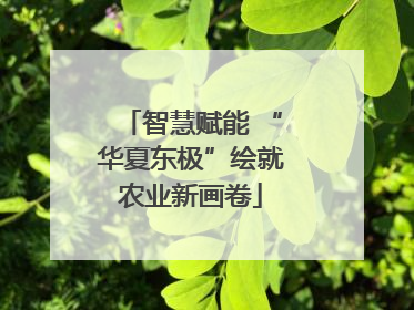 智慧赋能 “华夏东极”绘就农业新画卷