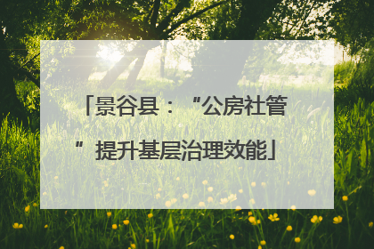 景谷县：“公房社管”提升基层治理效能