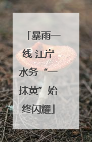暴雨一线 江岸水务“一抹黄”始终闪耀
