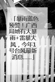 暴雨蓝色预警！广西局地有大暴雨+雷暴大风，今年1号台风最新消息……