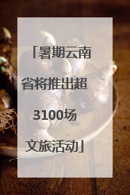 暑期云南省将推出超3100场文旅活动