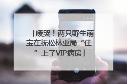 暖哭！两只野生萌宝在抚松林业局“住”上了VIP病房