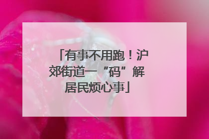 有事不用跑！沪郊街道一“码”解居民烦心事