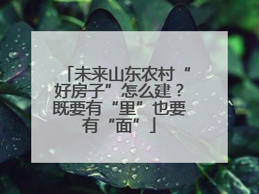 未来山东农村“好房子”怎么建？既要有“里”也要有“面”