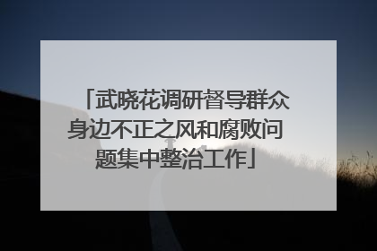 武晓花调研督导群众身边不正之风和腐败问题集中整治工作