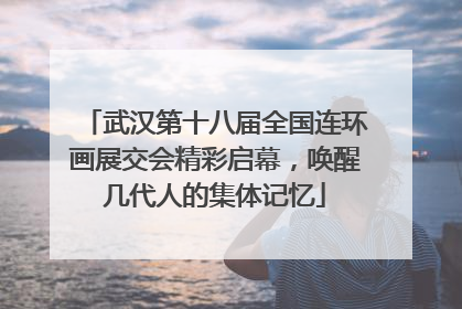 武汉第十八届全国连环画展交会精彩启幕，唤醒几代人的集体记忆
