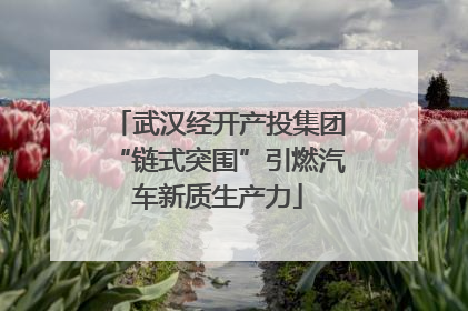 武汉经开产投集团“链式突围”引燃汽车新质生产力