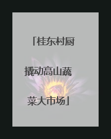 桂东村厨撬动高山蔬菜大市场