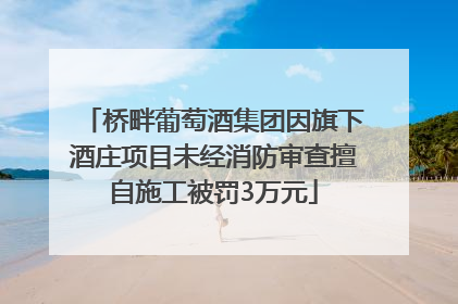 桥畔葡萄酒集团因旗下酒庄项目未经消防审查擅自施工被罚3万元