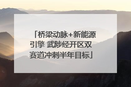 桥梁动脉+新能源引擎 武陟经开区双赛道冲刺半年目标
