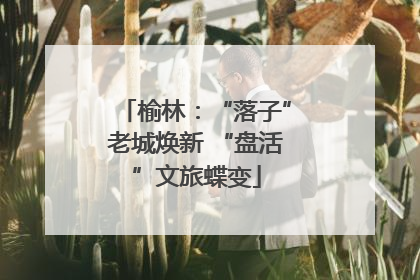 榆林：“落子”老城焕新 “盘活”文旅蝶变