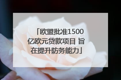 欧盟批准1500亿欧元贷款项目 旨在提升防务能力