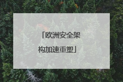 欧洲安全架构加速重塑