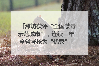 潍坊获评“全国禁毒示范城市”，连续三年全省考核为“优秀”