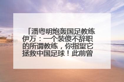 潘粤明炮轰国足教练伊万：一个装傻不辞职的所谓教练，你指望它拯救中国足球！此前曾多次发文评价国足