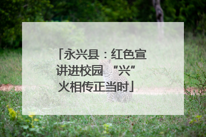 永兴县：红色宣讲进校园 “兴”火相传正当时