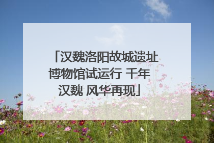 汉魏洛阳故城遗址博物馆试运行 千年汉魏 风华再现