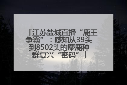 江苏盐城直播“鹿王争霸”：感知从39头到8502头的麋鹿种群复兴“密码”