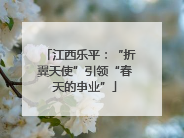 江西乐平：“折翼天使”引领“春天的事业”