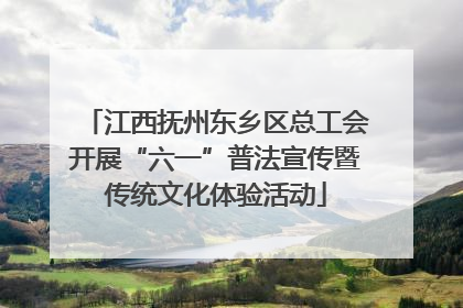 江西抚州东乡区总工会开展“六一”普法宣传暨传统文化体验活动