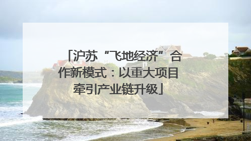 沪苏“飞地经济”合作新模式：以重大项目牵引产业链升级