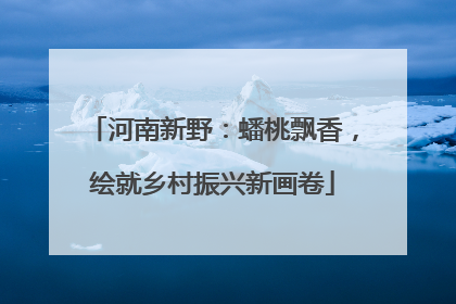 河南新野：蟠桃飘香，绘就乡村振兴新画卷