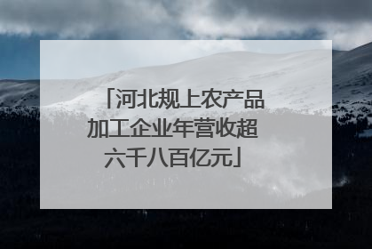 河北规上农产品加工企业年营收超六千八百亿元