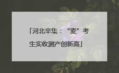 河北辛集：“麦”考生实收测产创新高