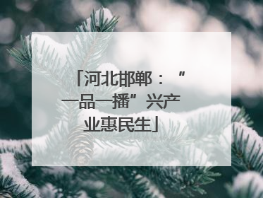 河北邯郸：“一品一播”兴产业惠民生