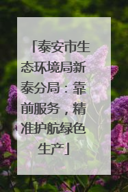 泰安市生态环境局新泰分局：靠前服务，精准护航绿色生产