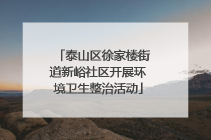泰山区徐家楼街道新峪社区开展环境卫生整治活动