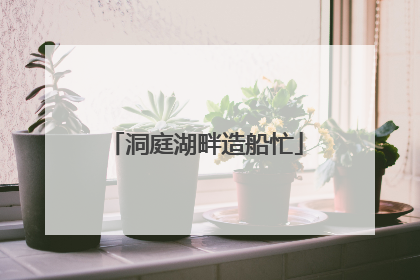 洞庭湖畔造船忙