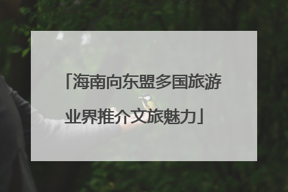 海南向东盟多国旅游业界推介文旅魅力