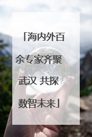 海内外百余专家齐聚武汉 共探数智未来