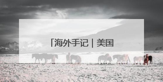 海外手记｜美国关税威力大，比利时巧克力都害怕