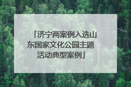 济宁两案例入选山东国家文化公园主题活动典型案例