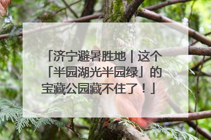 济宁避暑胜地｜这个「半园湖光半园绿」的宝藏公园藏不住了！