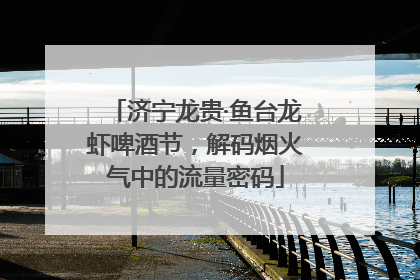 济宁龙贵·鱼台龙虾啤酒节，解码烟火气中的流量密码