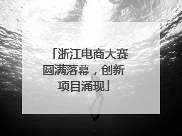 浙江电商大赛圆满落幕，创新项目涌现