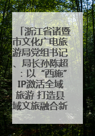 浙江省诸暨市文化广电旅游局党组书记、局长孙陈超：以“西施”IP激活全域旅游 打造县域文旅融合新标杆｜第七届全国县域旅游研究成果发布系列活动
