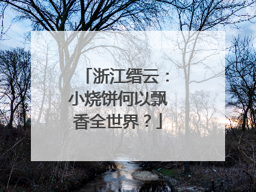 浙江缙云：小烧饼何以飘香全世界？