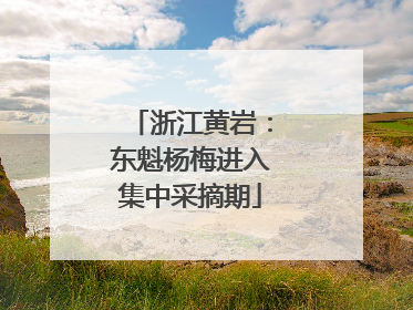 浙江黄岩：东魁杨梅进入集中采摘期