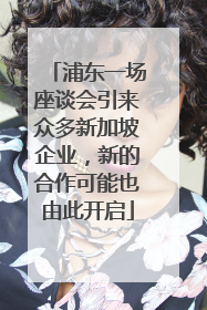 浦东一场座谈会引来众多新加坡企业，新的合作可能也由此开启