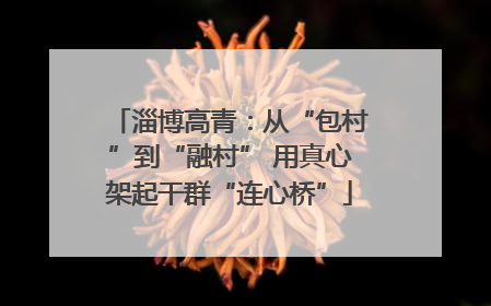 淄博高青：从“包村”到“融村” 用真心架起干群“连心桥”