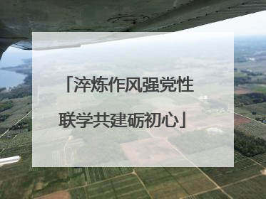 淬炼作风强党性 联学共建砺初心
