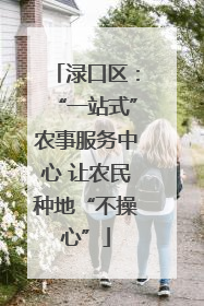 渌口区：“一站式”农事服务中心 让农民种地“不操心”