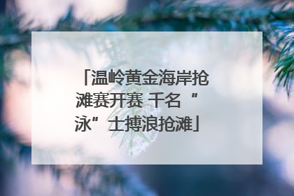温岭黄金海岸抢滩赛开赛 千名“泳”士搏浪抢滩